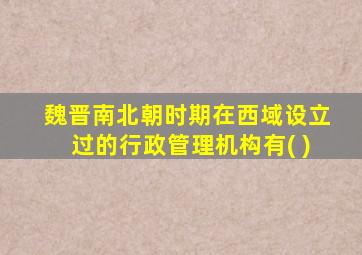 魏晋南北朝时期在西域设立过的行政管理机构有( )